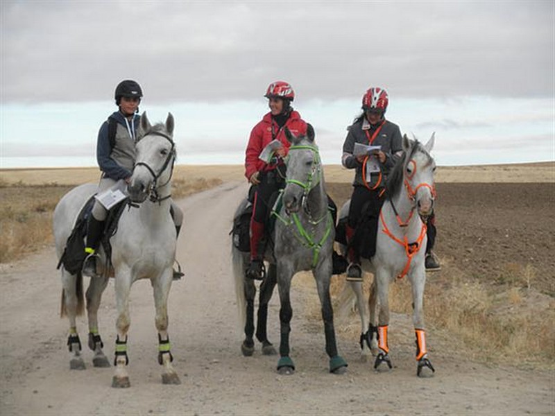 Clinic de Trec en el Club Hípico Zolina los próximos días 5 y 6 de diciembre